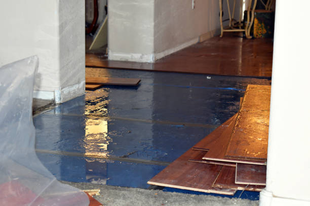 Professional Emergency Water Damage Restoration technician working in Papaaloa, HI